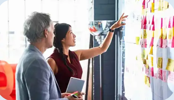 High-Quality Content Creation